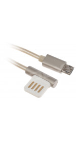 Cable Remax Emperor Series Cable for Micro (2.1A,1m, gold) [RC-054m]