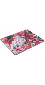 Mouse pad DEXP OM-XS Spring