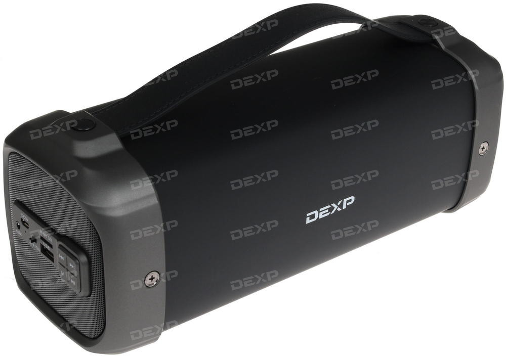 Portable speaker Dexp P490 (black)