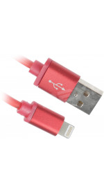 Cable 8 pin (M) - USB (M), 1m, FinePower [FPU8100MPR]  2.1A; red